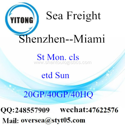 Shenzhen Port Sea Freight Shipping To Miami